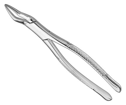 Extracting Forceps American Pattern