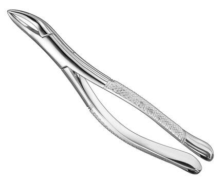 Extracting Forceps American Pattern