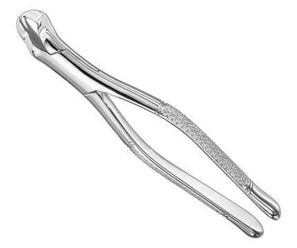 Extracting Forceps American Pattern