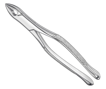 Extracting Forceps American Pattern