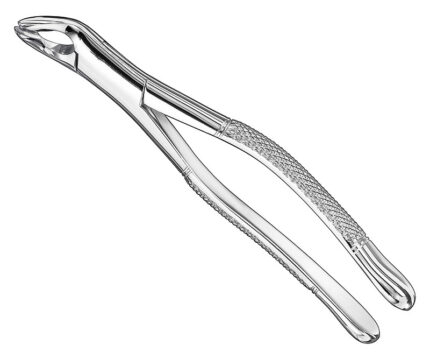 Extracting Forceps American Pattern