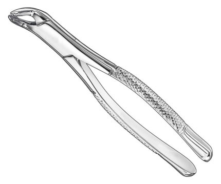 Extracting Forceps American Pattern
