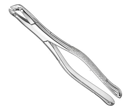 Extracting Forceps American Pattern