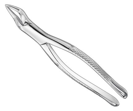 Extracting Forceps American Pattern