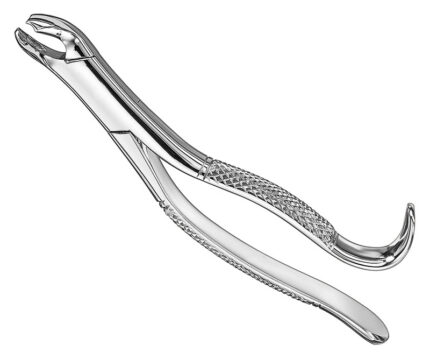 Extracting Forceps American Pattern