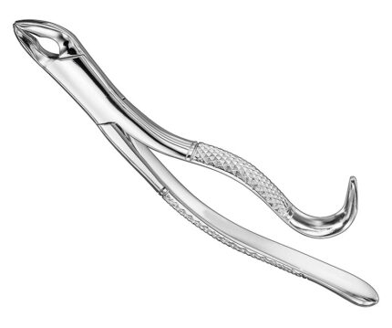 Extracting Forceps American Pattern