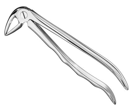 Extracting Forceps Anatomically Shaped Handle Standard