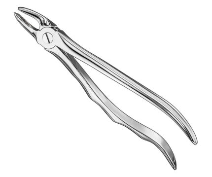 Extracting Forceps Anatomically Shaped Handle Standard