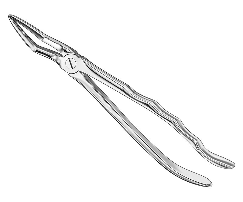 Extracting-Forceps-Anatomically-Shaped-Handle-Standard-24.jpg