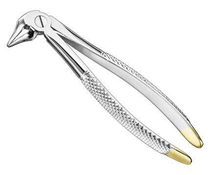 Extracting Forceps English Pattern Diamantiert
