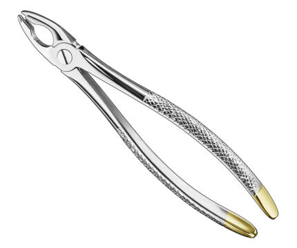 Extracting Forceps English Pattern Diamantiert