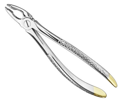 Extracting Forceps English Pattern Diamantiert