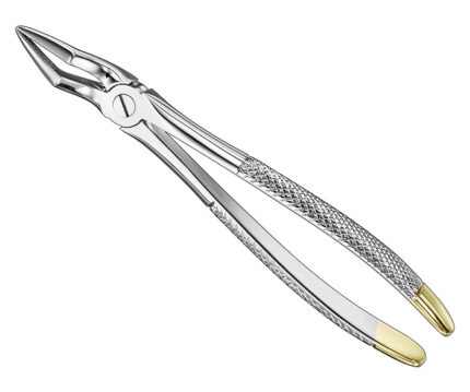 Extracting Forceps English Pattern Diamantiert