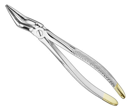 Extracting Forceps English Pattern Diamantiert