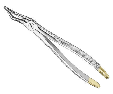 Extracting Forceps English Pattern Diamantiert