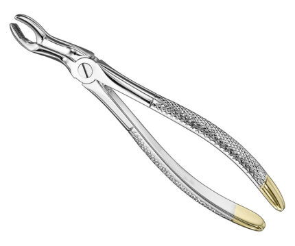Extracting Forceps English Pattern Diamantiert