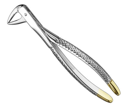 Extracting Forceps English Pattern Diamantiert