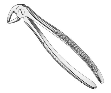 Extracting Forceps English Pattern Standard