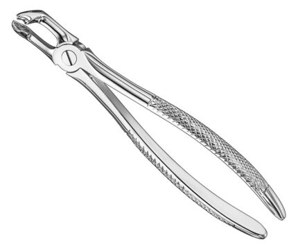 Extracting Forceps English Pattern Standard