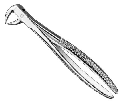 Extracting Forceps English Pattern Standard