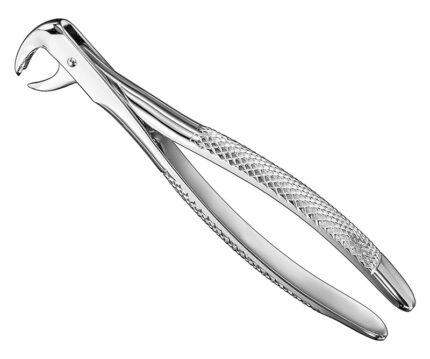 Extracting Forceps English Pattern Standard