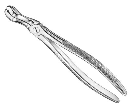 Extracting Forceps English Pattern Standard