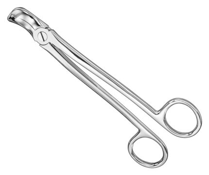 Extracting Forceps English Pattern Standard