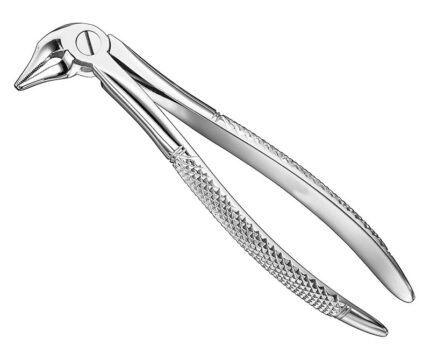 Extracting Forceps English Pattern Standard