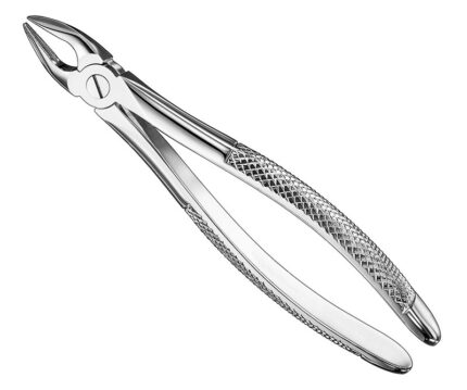 Extracting Forceps English Pattern Standard