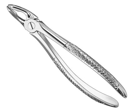 Extracting Forceps English Pattern Standard
