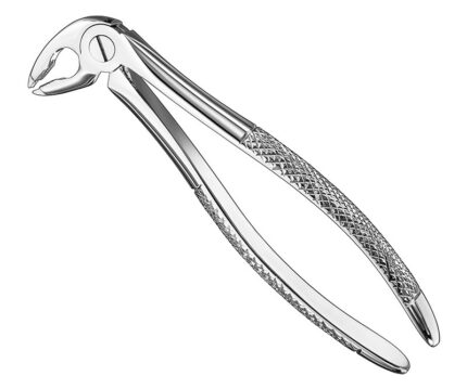 Extracting Forceps English Pattern Standard