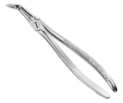 Extracting Forceps English Pattern Standard