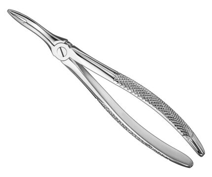 Extracting Forceps English Pattern Standard