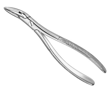 Extracting Forceps English Pattern Standard