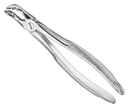 Extracting Forceps English Pattern Standard