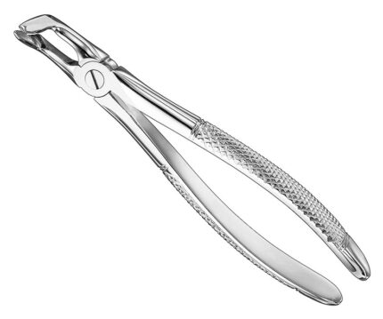 Extracting Forceps English Pattern Standard