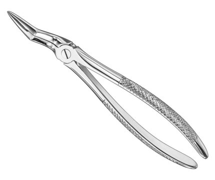 Extracting Forceps English Pattern Standard
