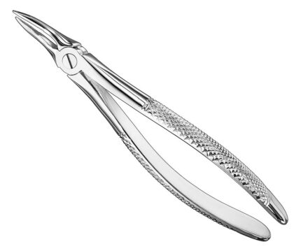 Extracting Forceps English Pattern Standard