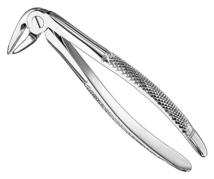 Extracting Forceps English Pattern Standard
