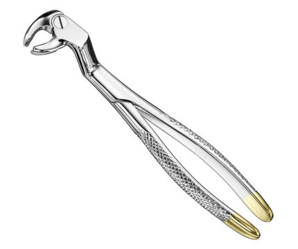 Extracting Forceps English Pattern Standard