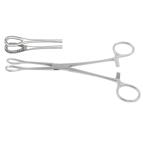 Foerster-Sponge-Holding-Forcep-Straight-25-cm.jpg